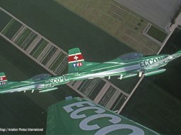 00309N Ecco Team